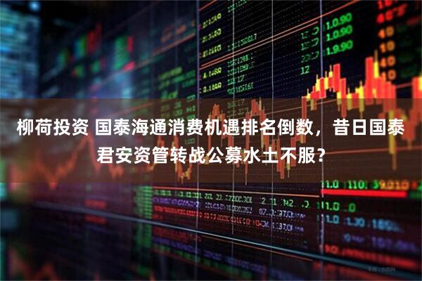 柳荷投资 国泰海通消费机遇排名倒数，昔日国泰君安资管转战公募水土不服？